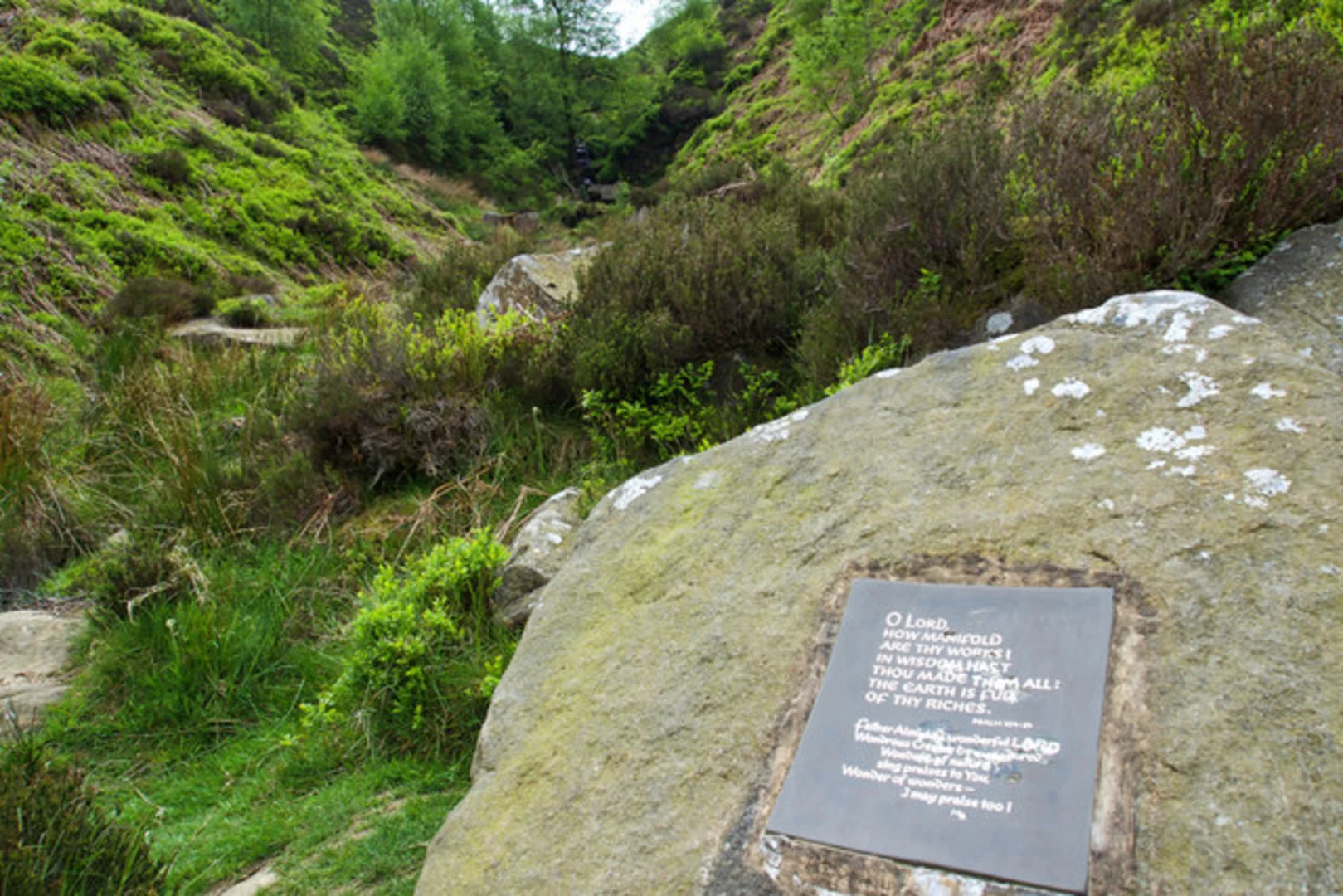 An image depicting the trail Penistone Hill Country Park and Bronte Waterfall Loop and its surrounding area.