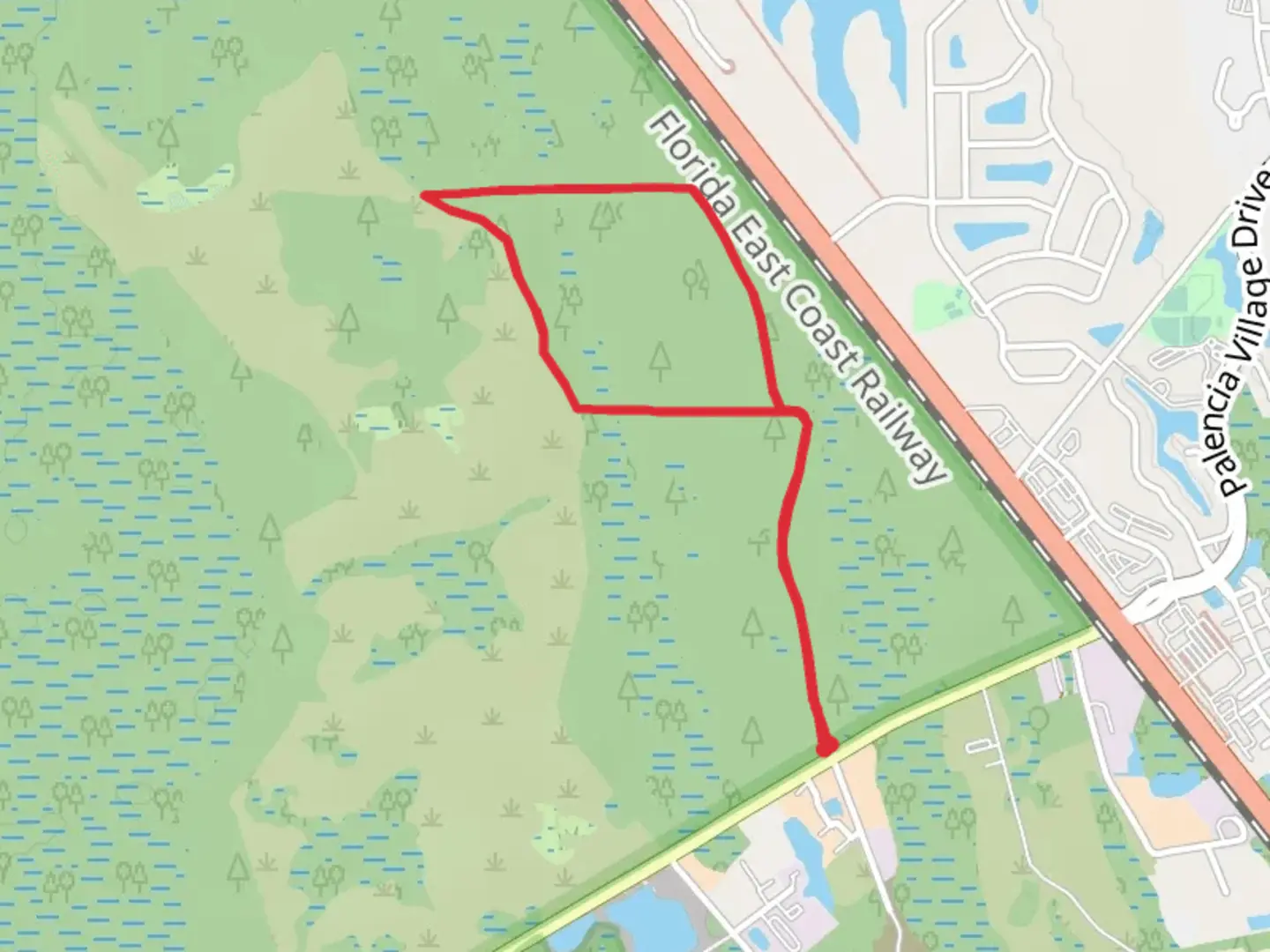 An image depicting the trail Twelve Mile Swamp and Conservation Area Loop Trail and its surrounding area.