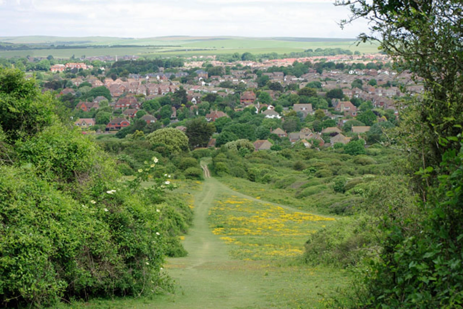 An image depicting the trail Seaford Head Nature Reserve Loop Walk and its surrounding area.