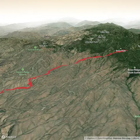 Hard Guy trail to Boise Peak summit- out & back