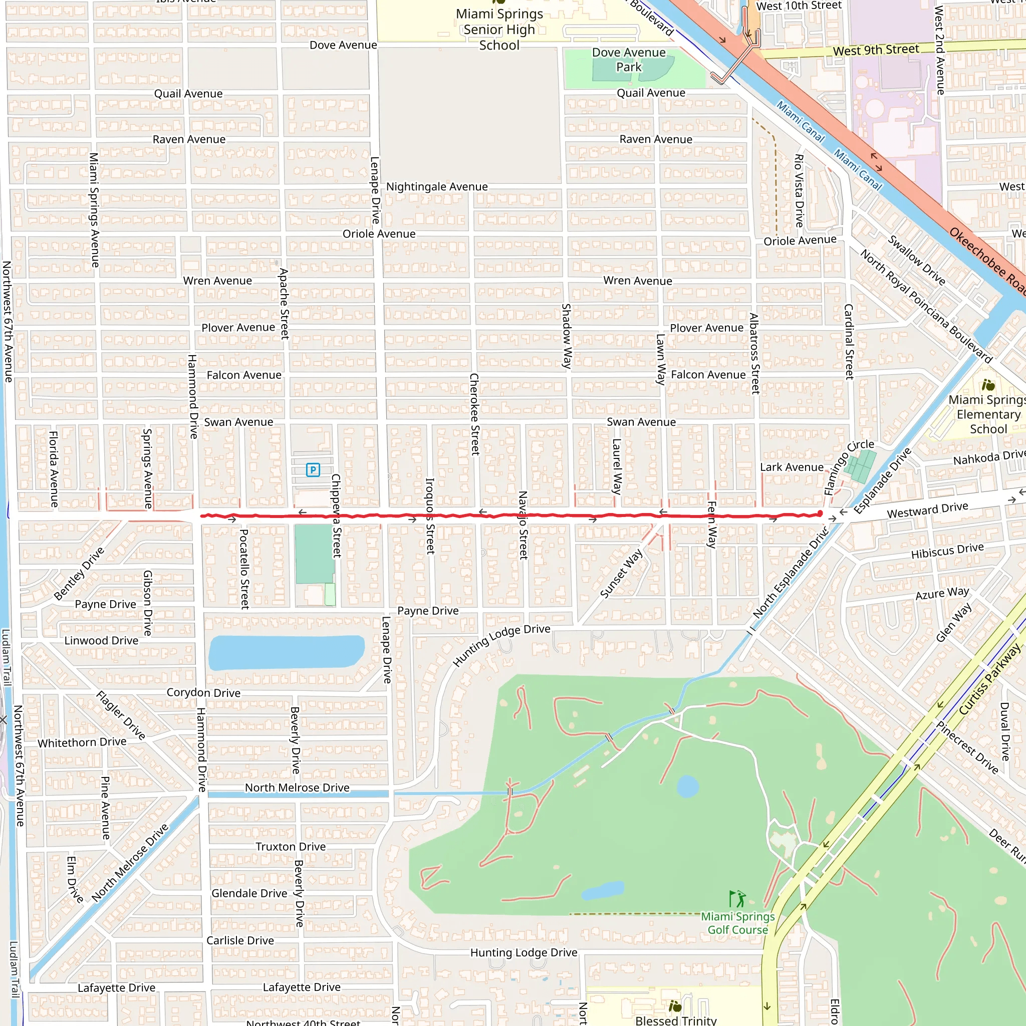 Westward Road Walk mobile static map