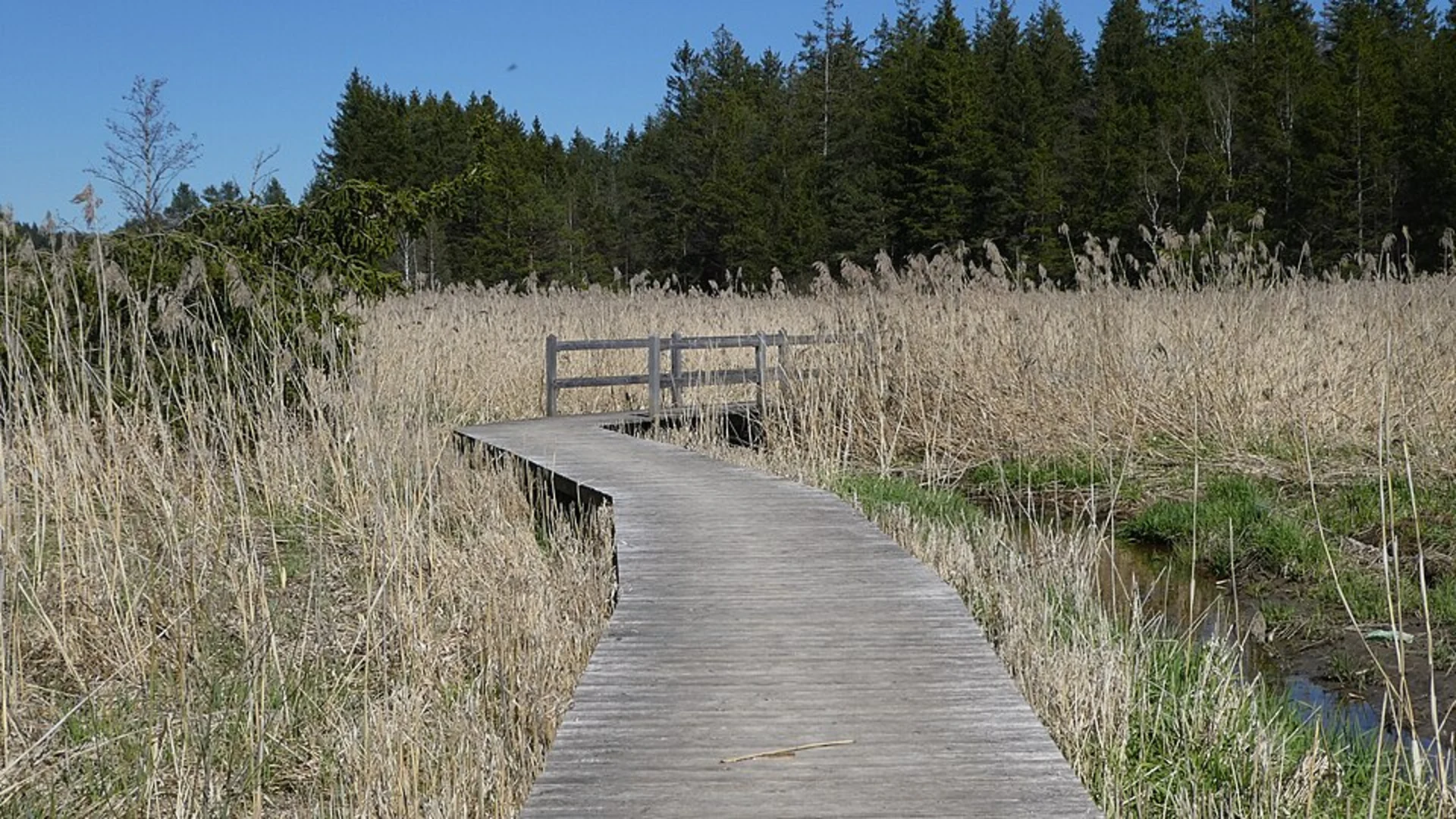 An image depicting the trail Elbsee via Elbsee Rundweg and Duesseldorfer Weg and its surrounding area.