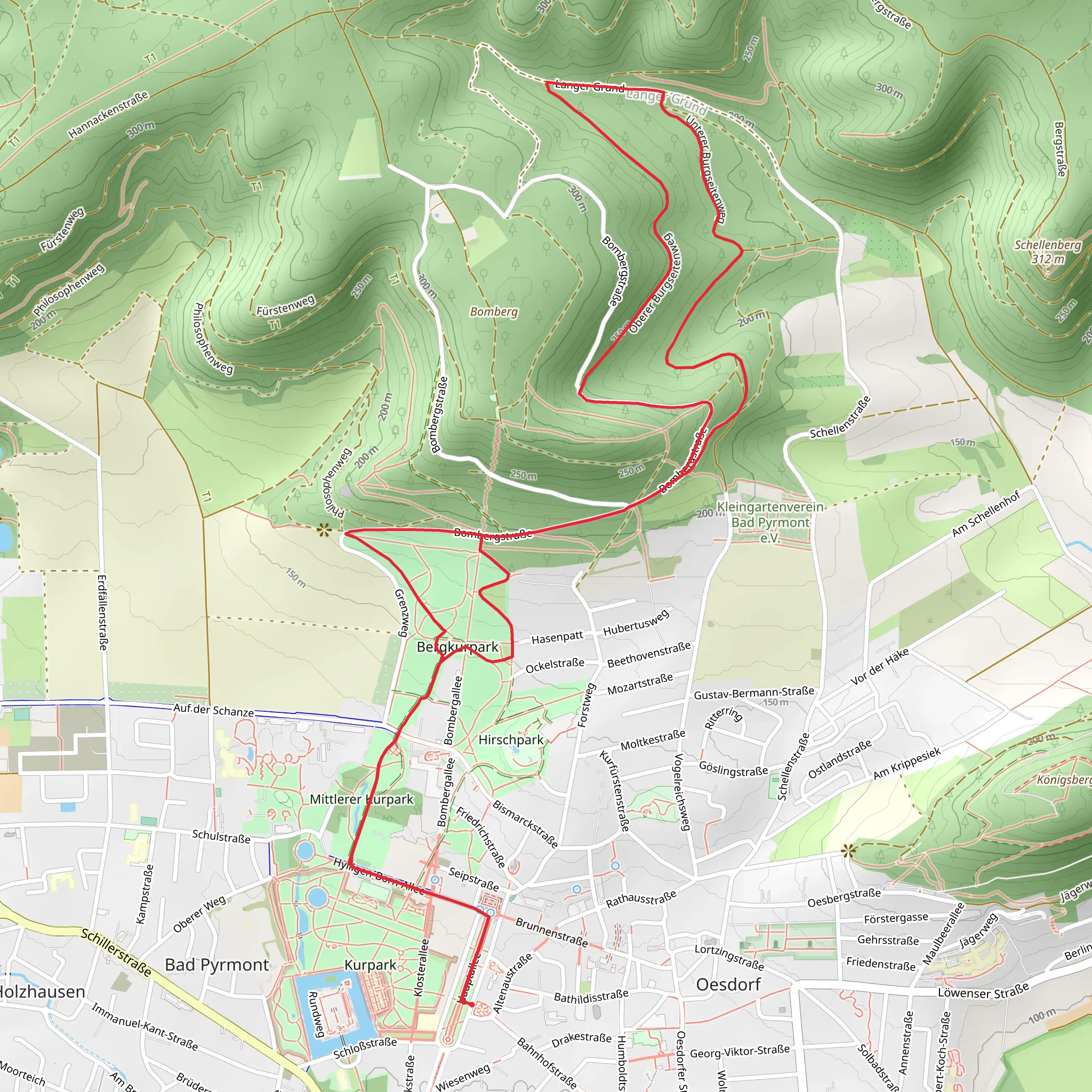Burgwald Loop - Bad Pyrmont mobile static map