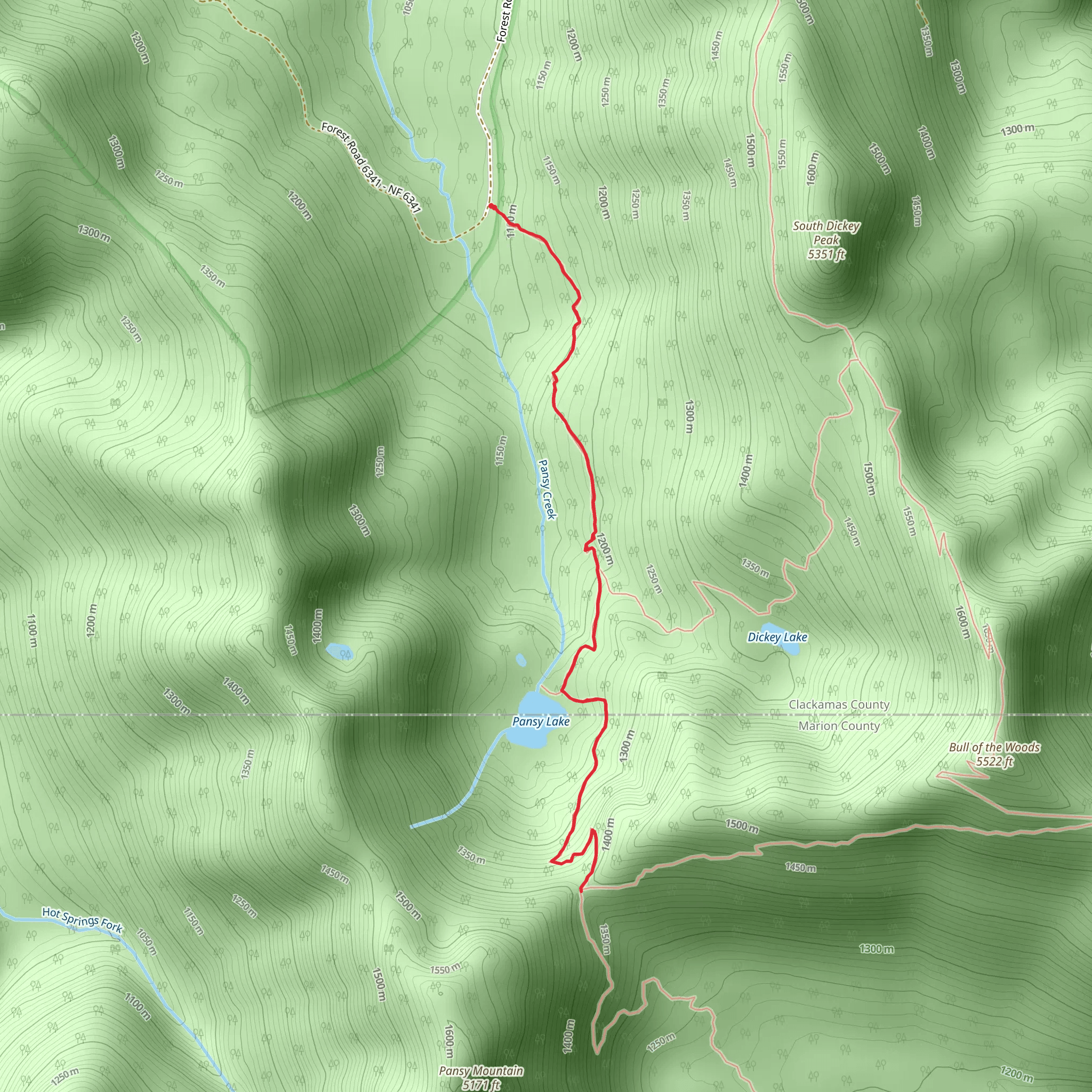Pansy Lake Trail mobile static map