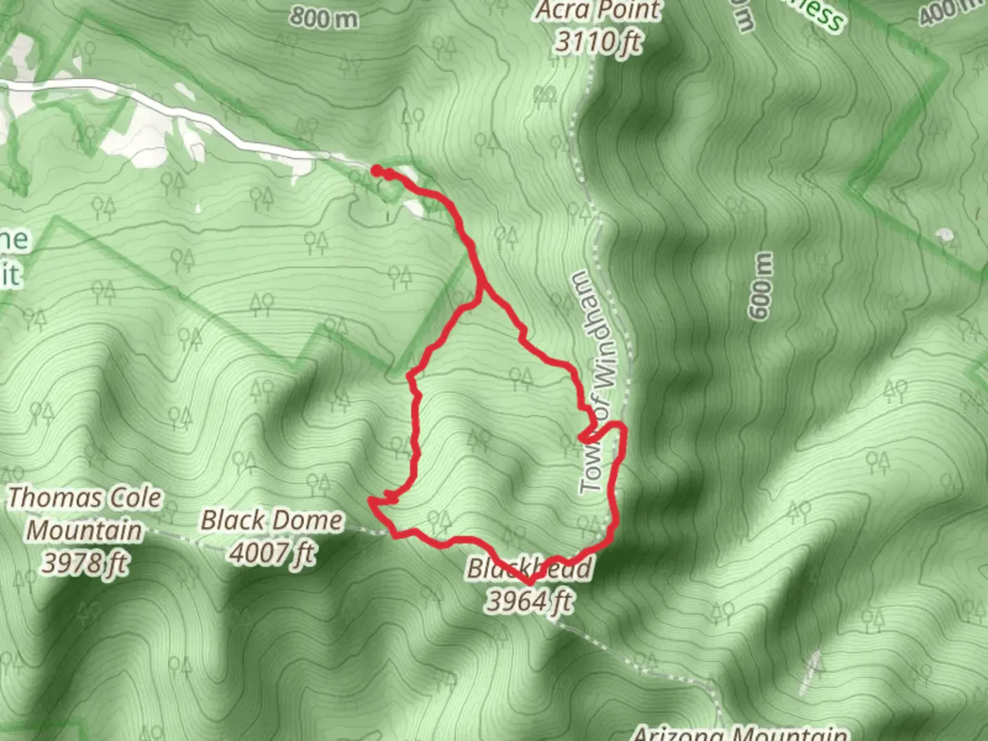 An image depicting the trail Mount Blackhead Loop from Big Hollow Road and its surrounding area.