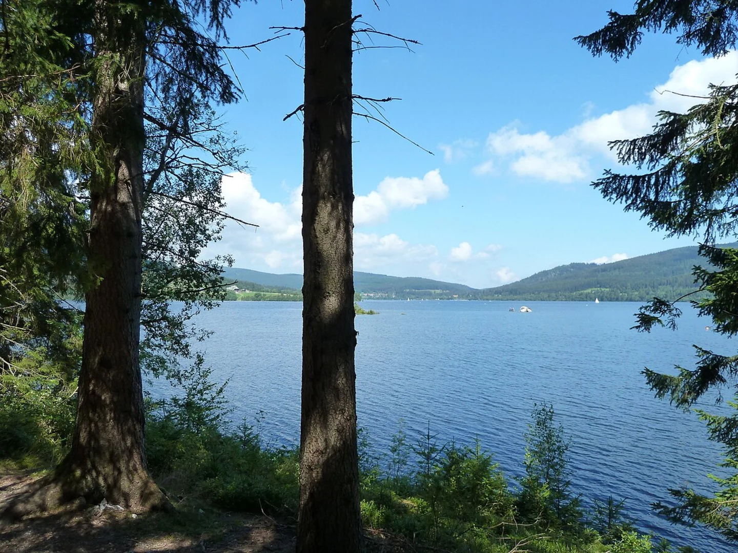 An image depicting the trail Schluchsee Loop via Geniesserpfad and its surrounding area.