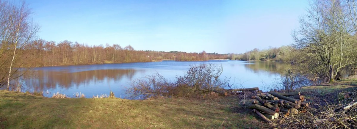 Colebrook Lake North and Coalpit Copse Loop