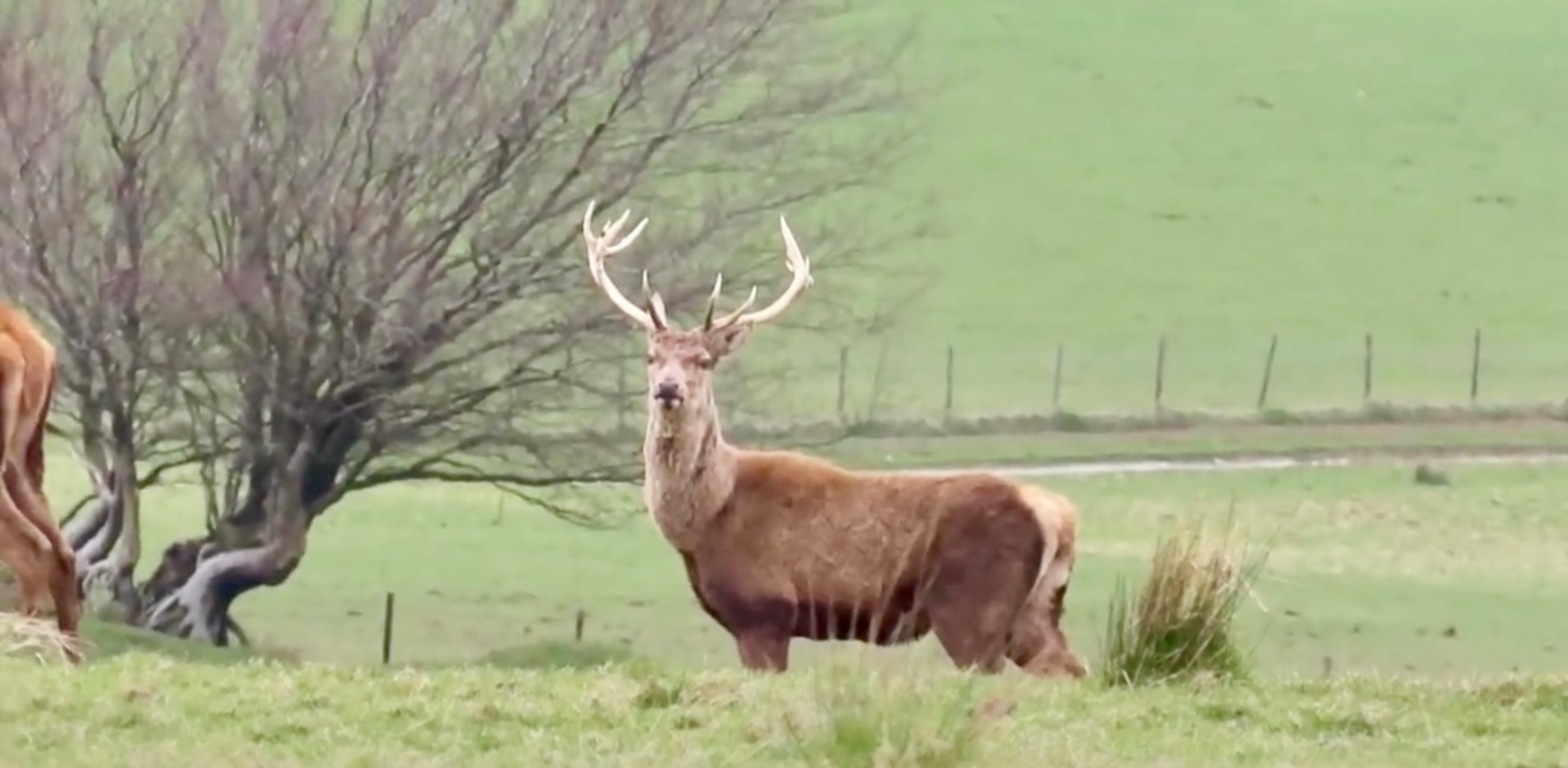 An image depicting the trail Exmoor National Park - White Post Loop and its surrounding area.