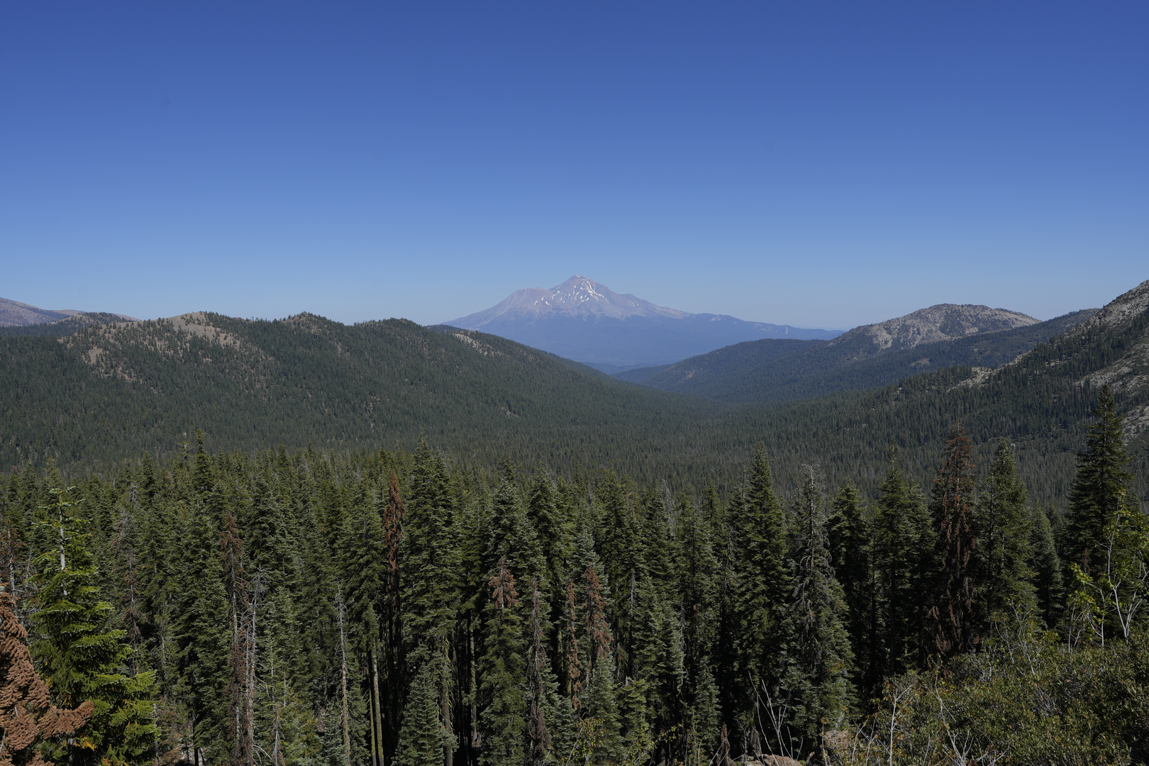 An image depicting the trail Sisson's and Lollipop Trail and its surrounding area.