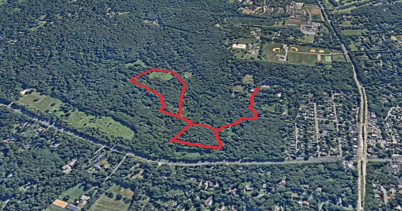 King Zog's Loop Trail