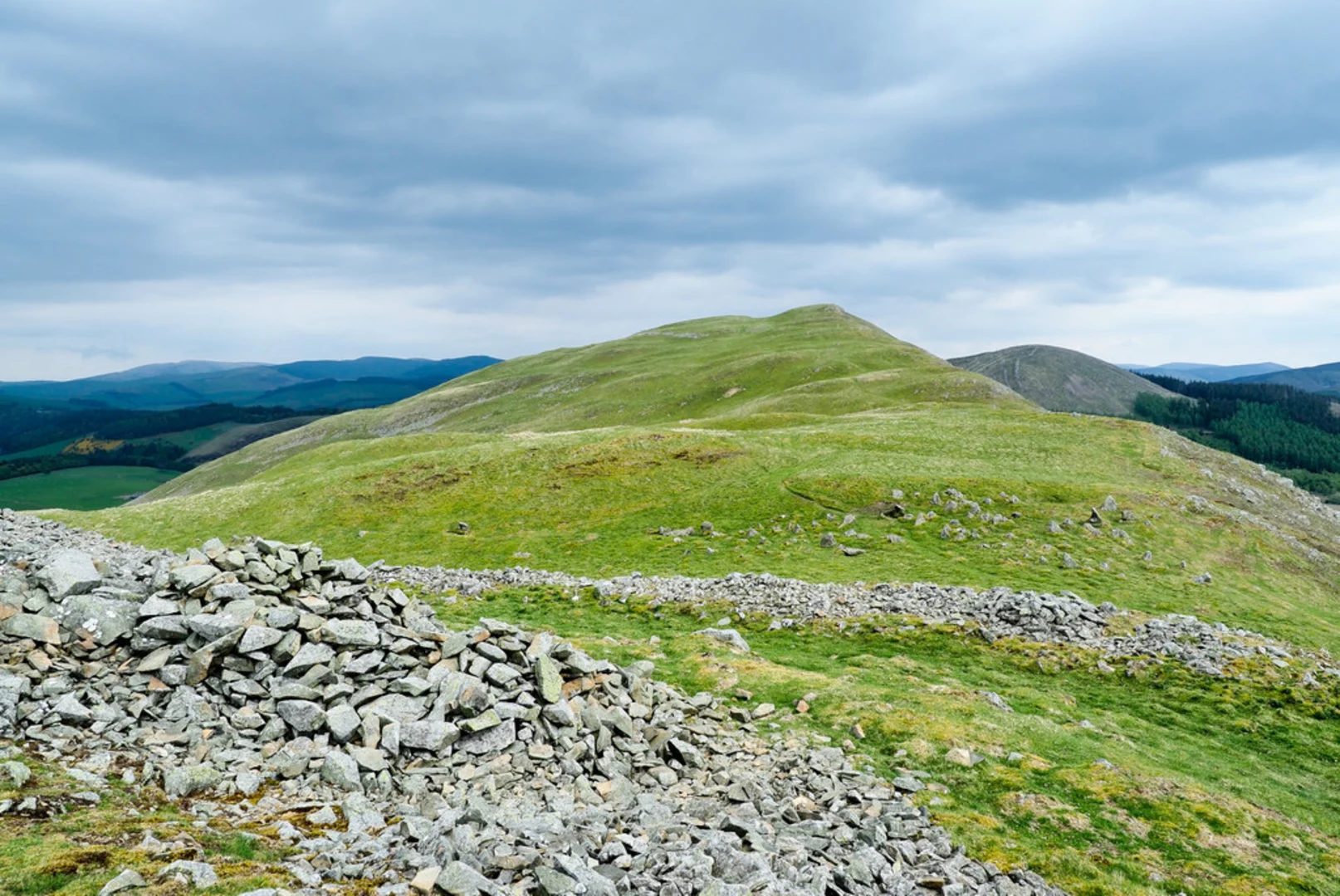 An image depicting the trail Pilots' and Cademuir Hill Loop Trail and its surrounding area.