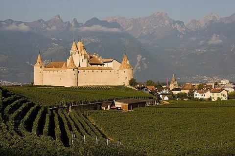 An image depicting the trail Aigle Vineyard Walk and its surrounding area.