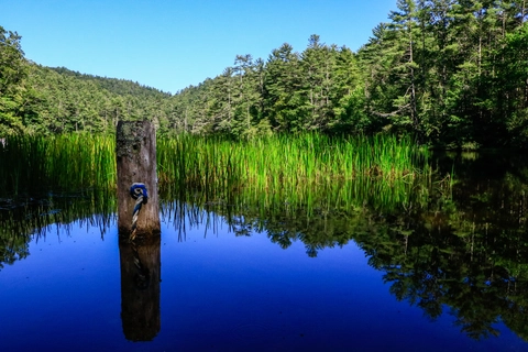 An image depicting the trail Ranger Falls Trail and its surrounding area.