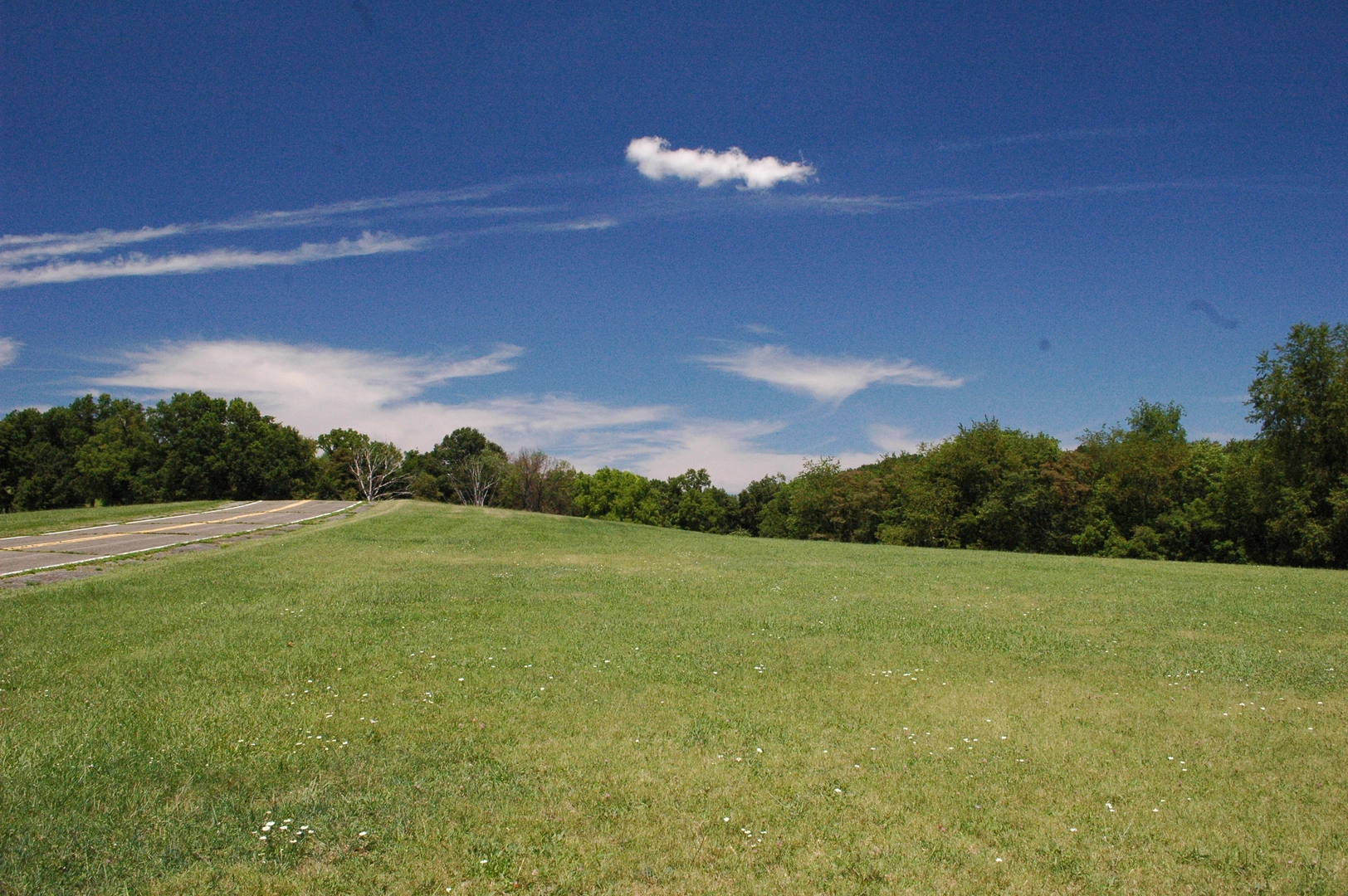 An image depicting the trail Buffalo Ridge East Loop Trail and its surrounding area.