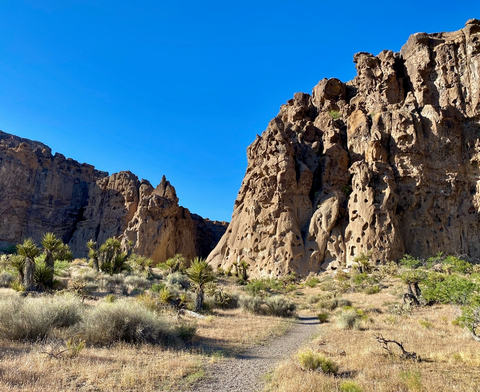 An image depicting the trail Rings Loop Trail and its surrounding area.