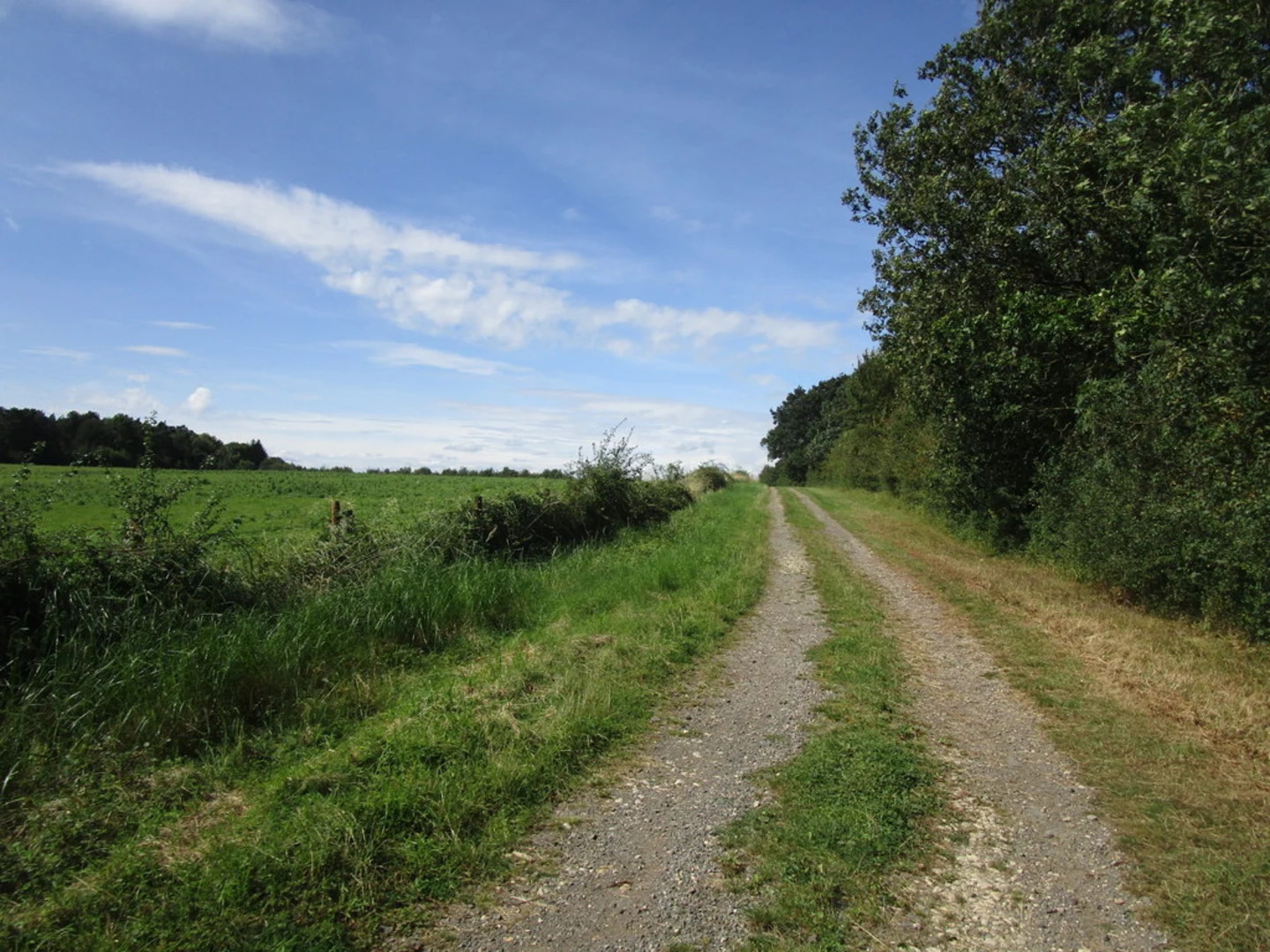 An image depicting the trail Lyveden Way and its surrounding area.