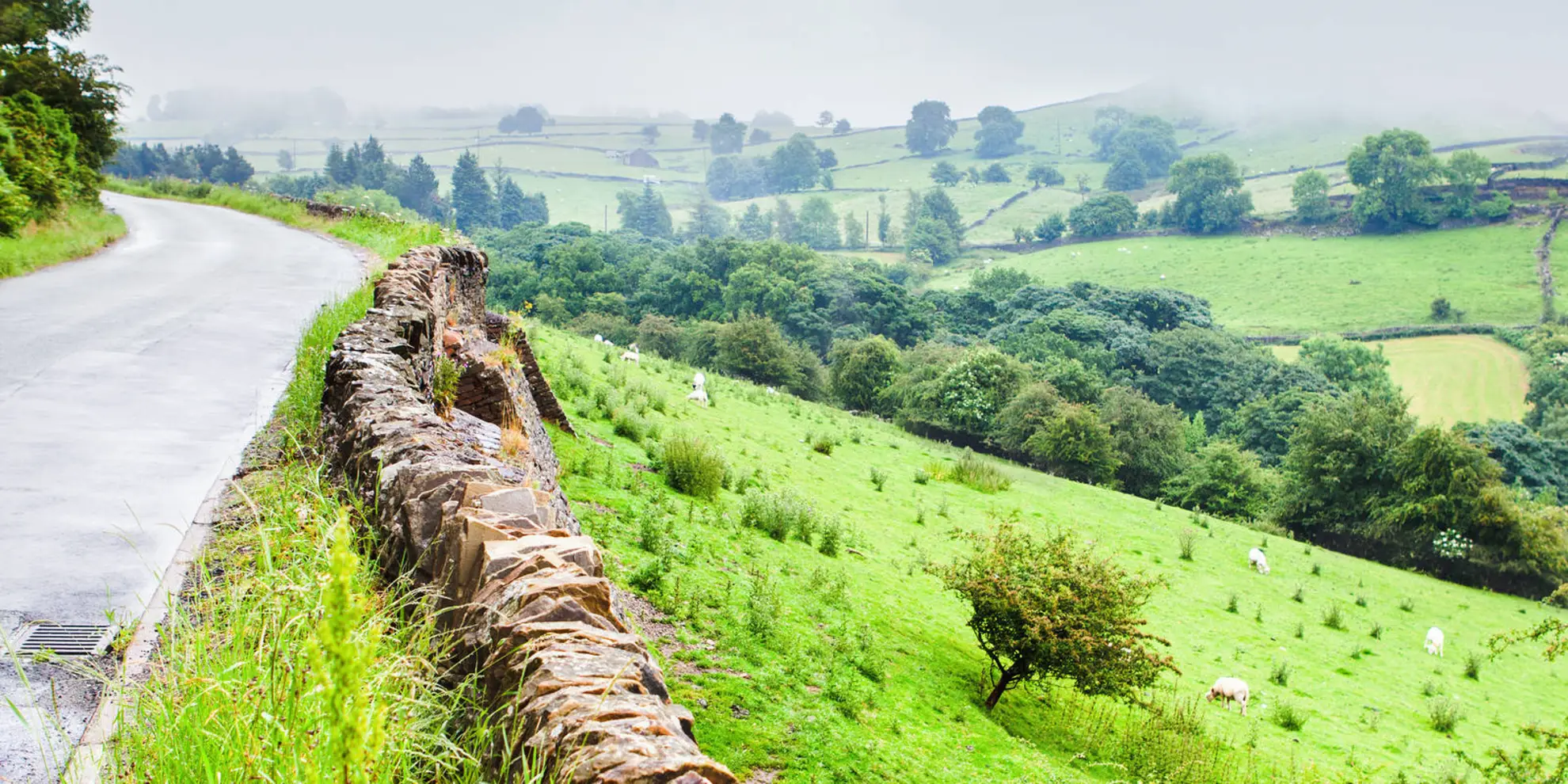 An image depicting the trail Rainow Circular and its surrounding area.
