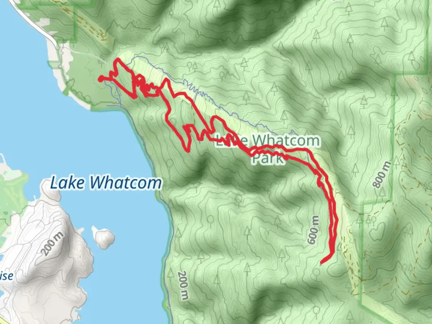 An image depicting the trail Chanterelle Trail Upper Loop and its surrounding area.