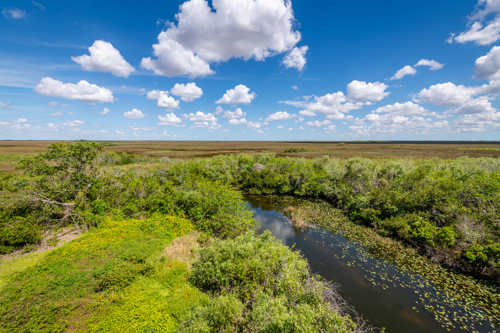 An image depicting the trail Bobcat Boardwalk Walking Trail and its surrounding area.