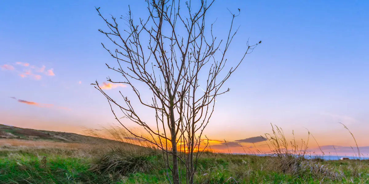 Hawksworth - Baildon Moor and Shipley Glen