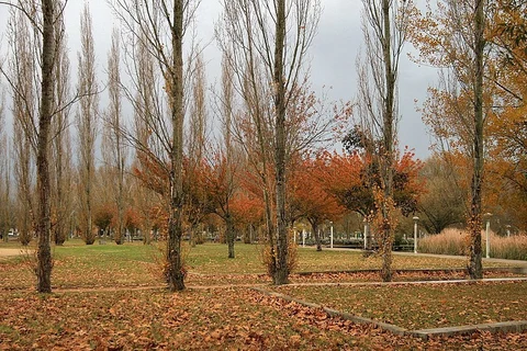 GR 1 Sender Historic