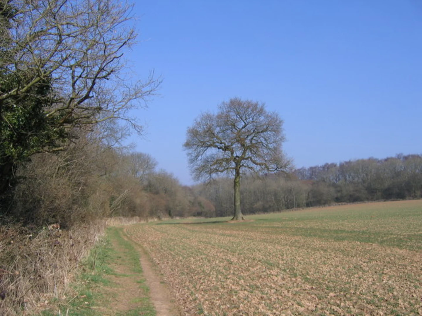 An image depicting the trail Illey Way and its surrounding area.
