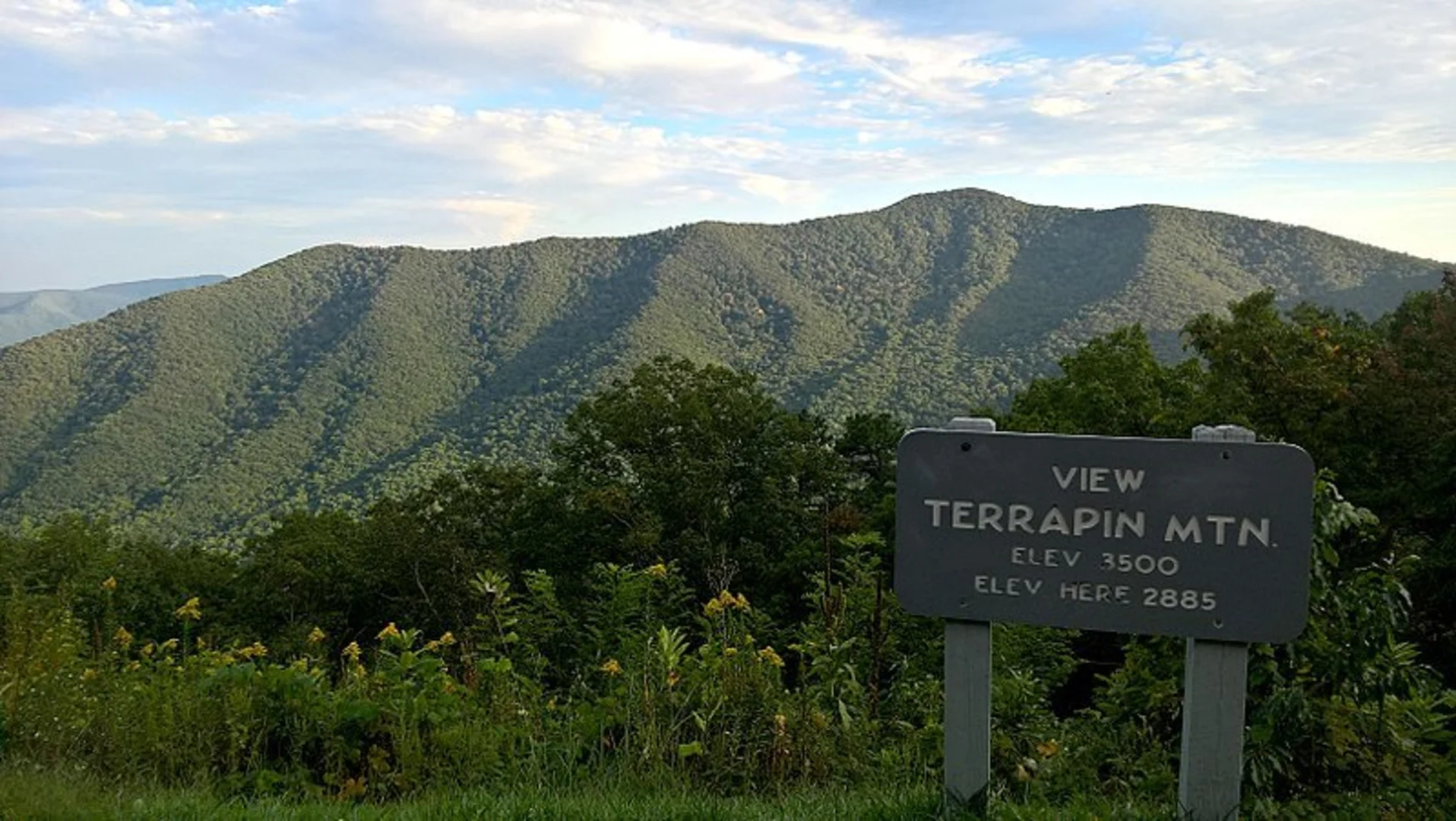 An image depicting the trail Terrapin Mountain Trail and its surrounding area.