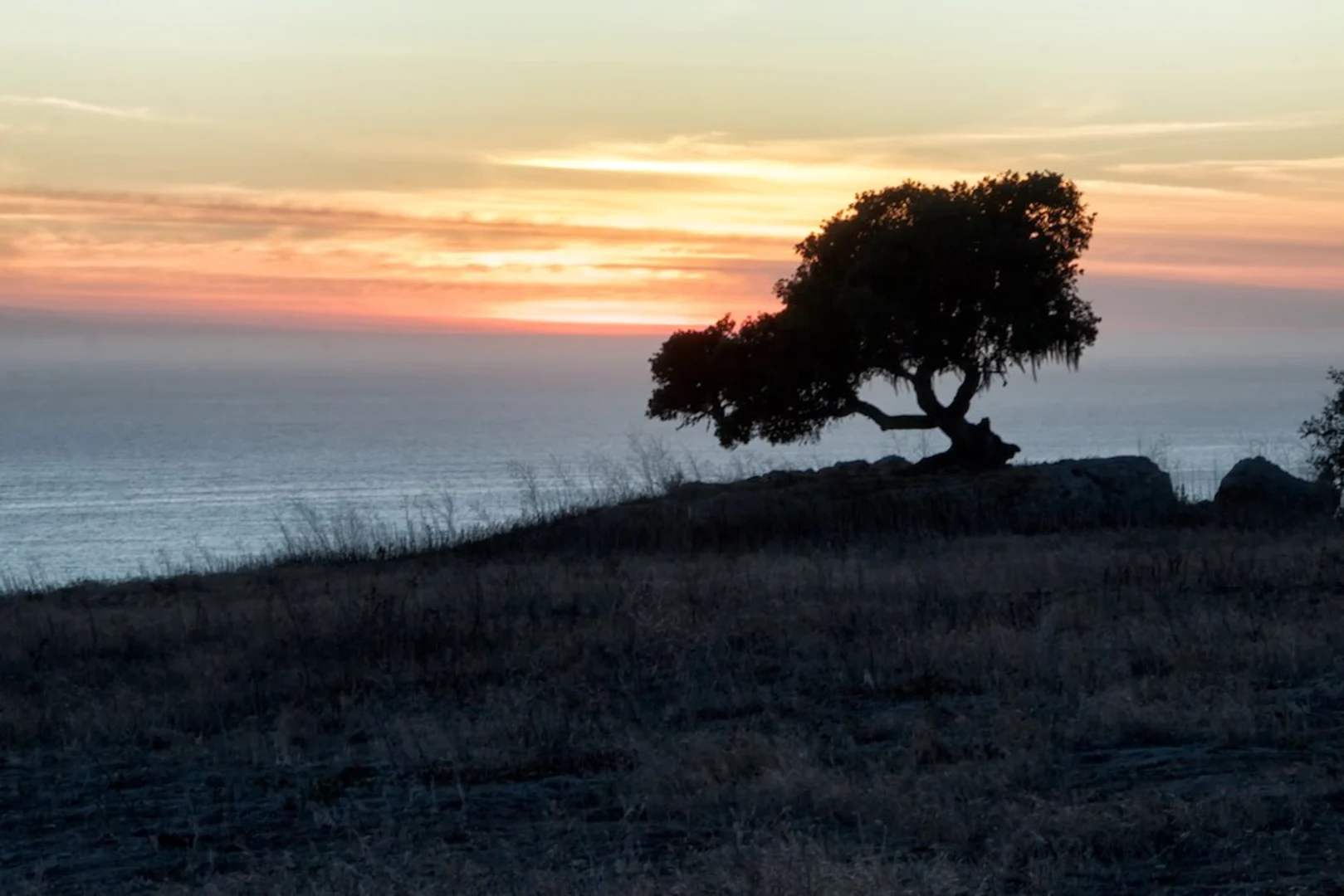 An image depicting the trail Discovery Trail, Panhandle Trail and Turtle Loop Trail and its surrounding area.
