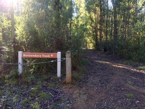 Boroondara Track