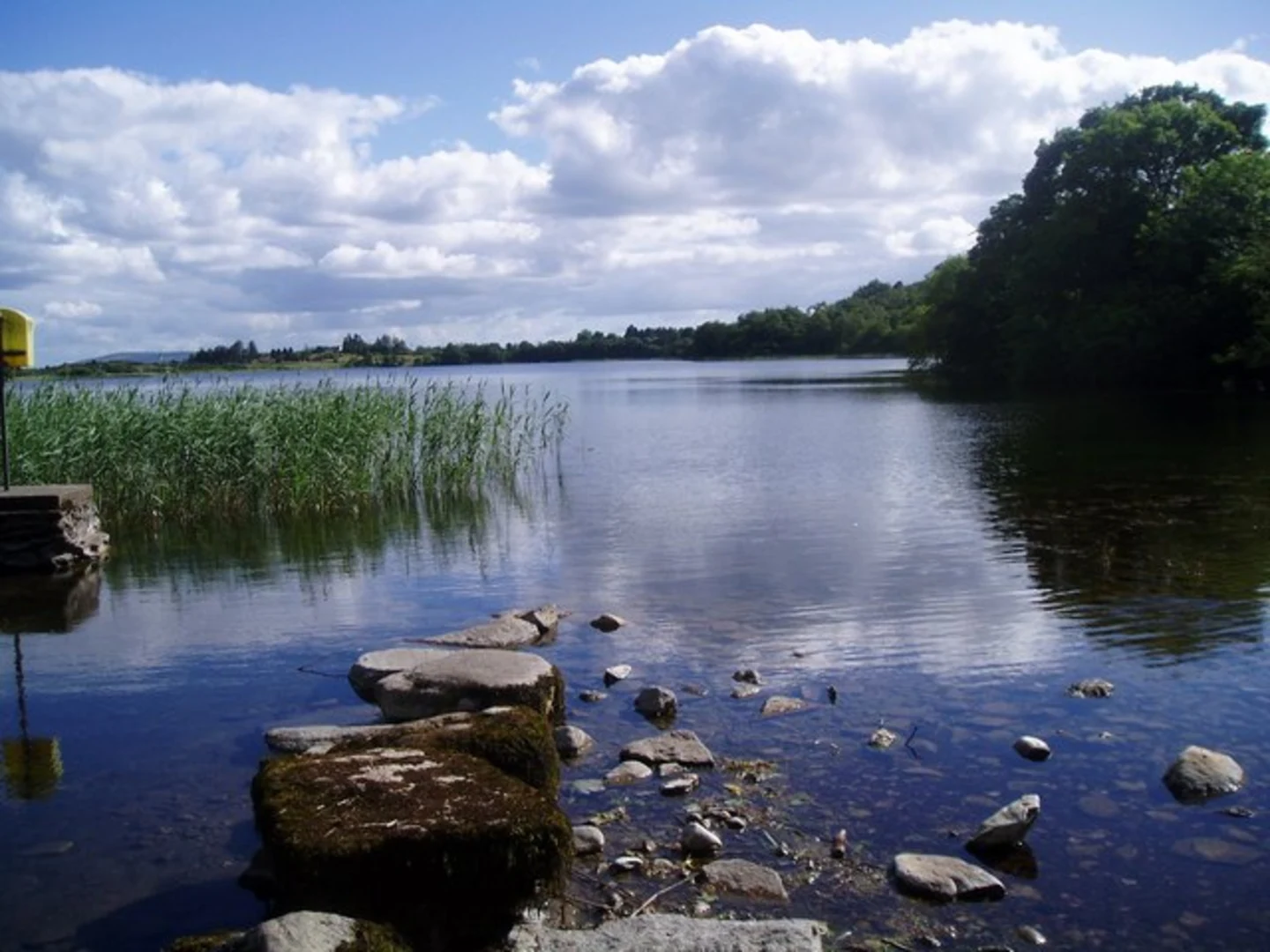 An image depicting the trail Callow Loop Walk and its surrounding area.