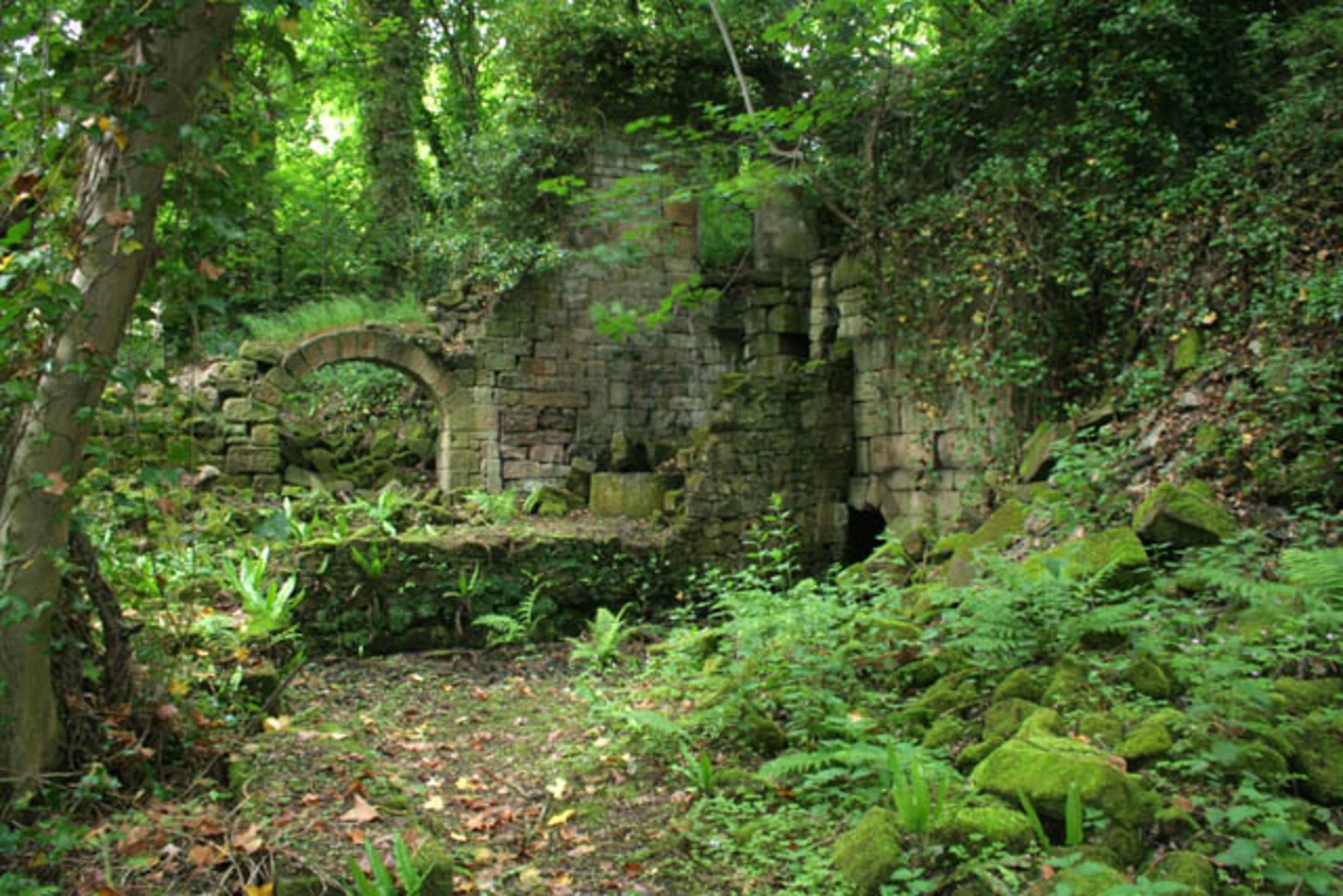 An image depicting the trail Lumsdale Valley Walk and its surrounding area.