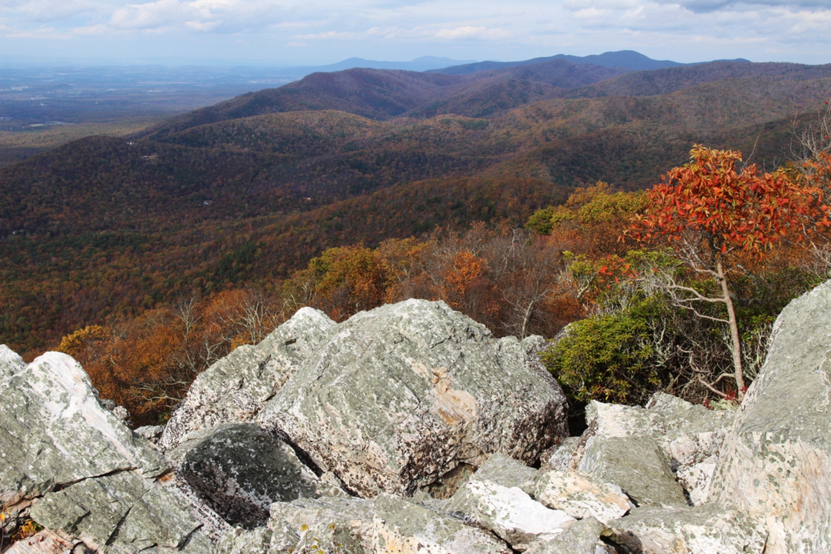 An image depicting the trail Turk Gap Trail and its surrounding area.