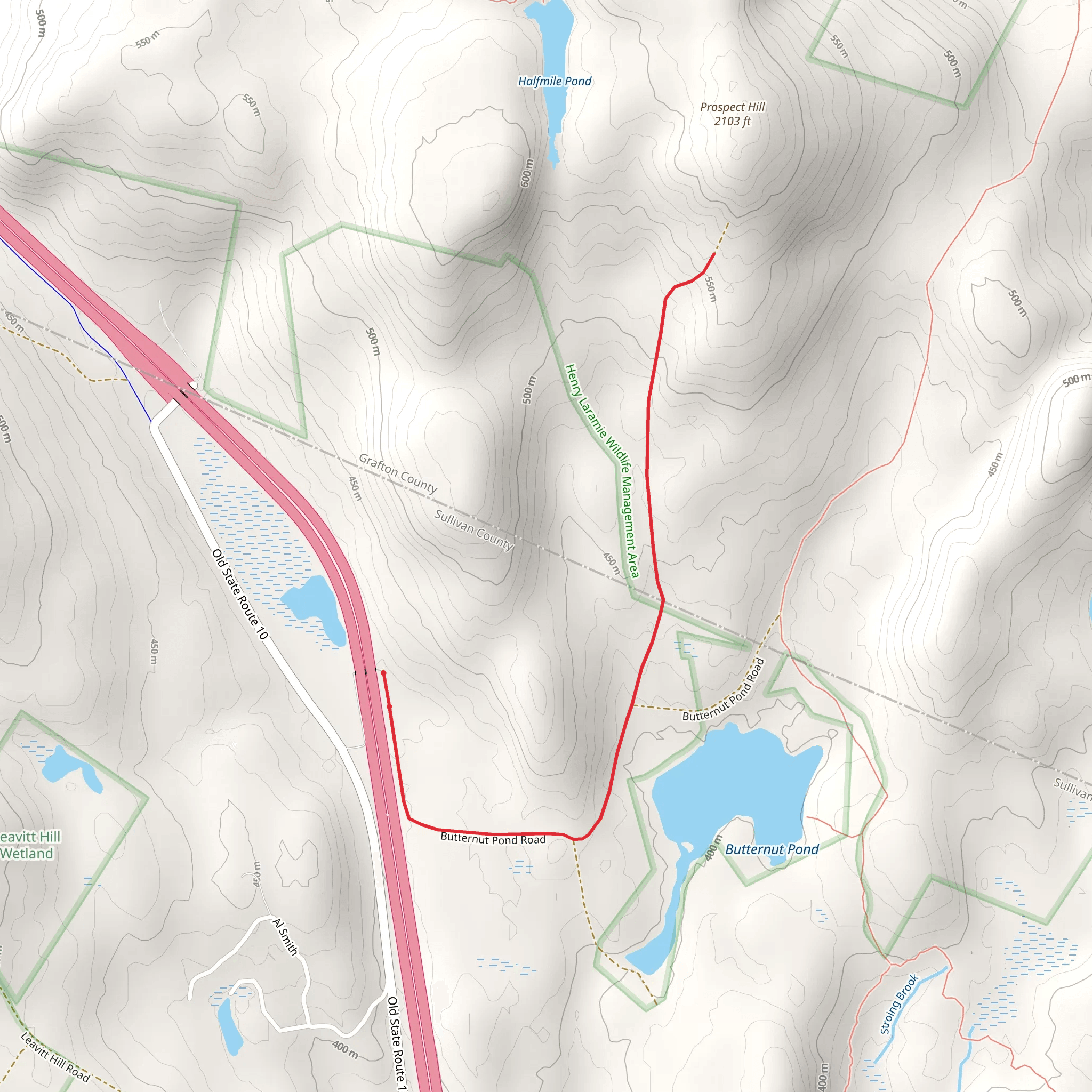Butternut Pond and Prospect Hill mobile static map