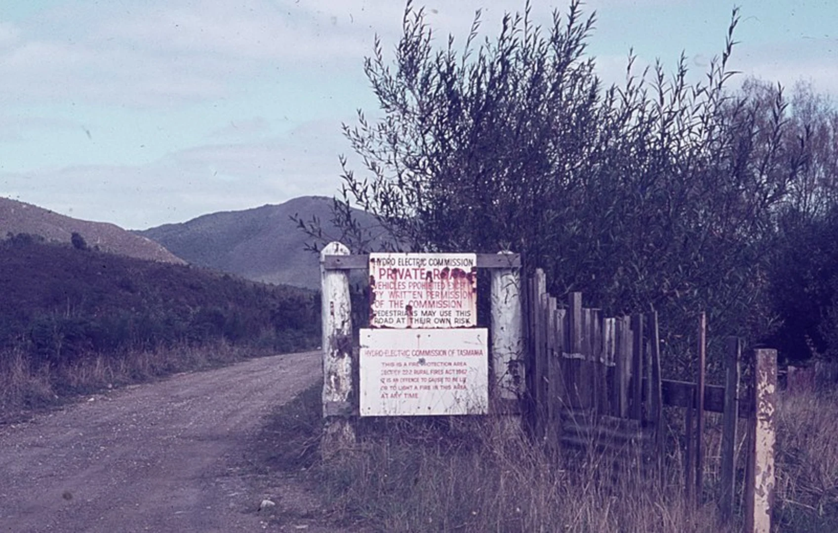 An image depicting the trail Kelly Basin Track and its surrounding area.