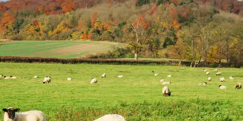 An image depicting the trail North Chiltern Trail and its surrounding area.