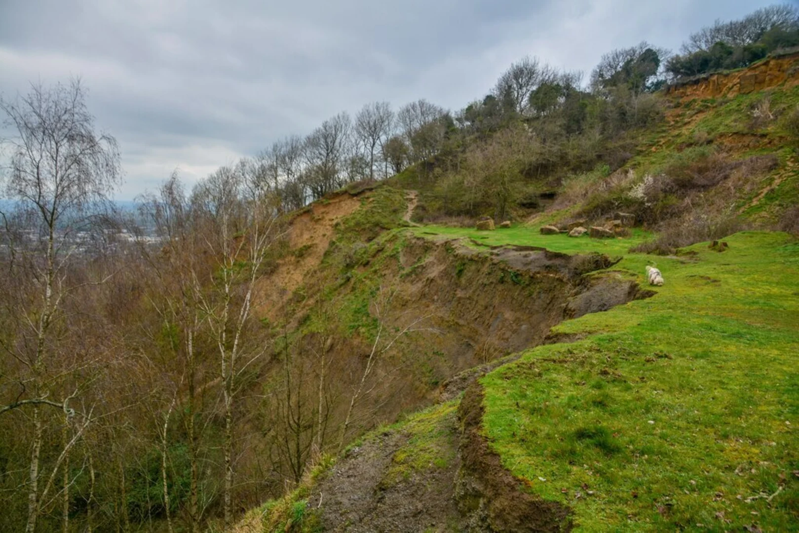 An image depicting the trail Robinswood Hill Loop and its surrounding area.