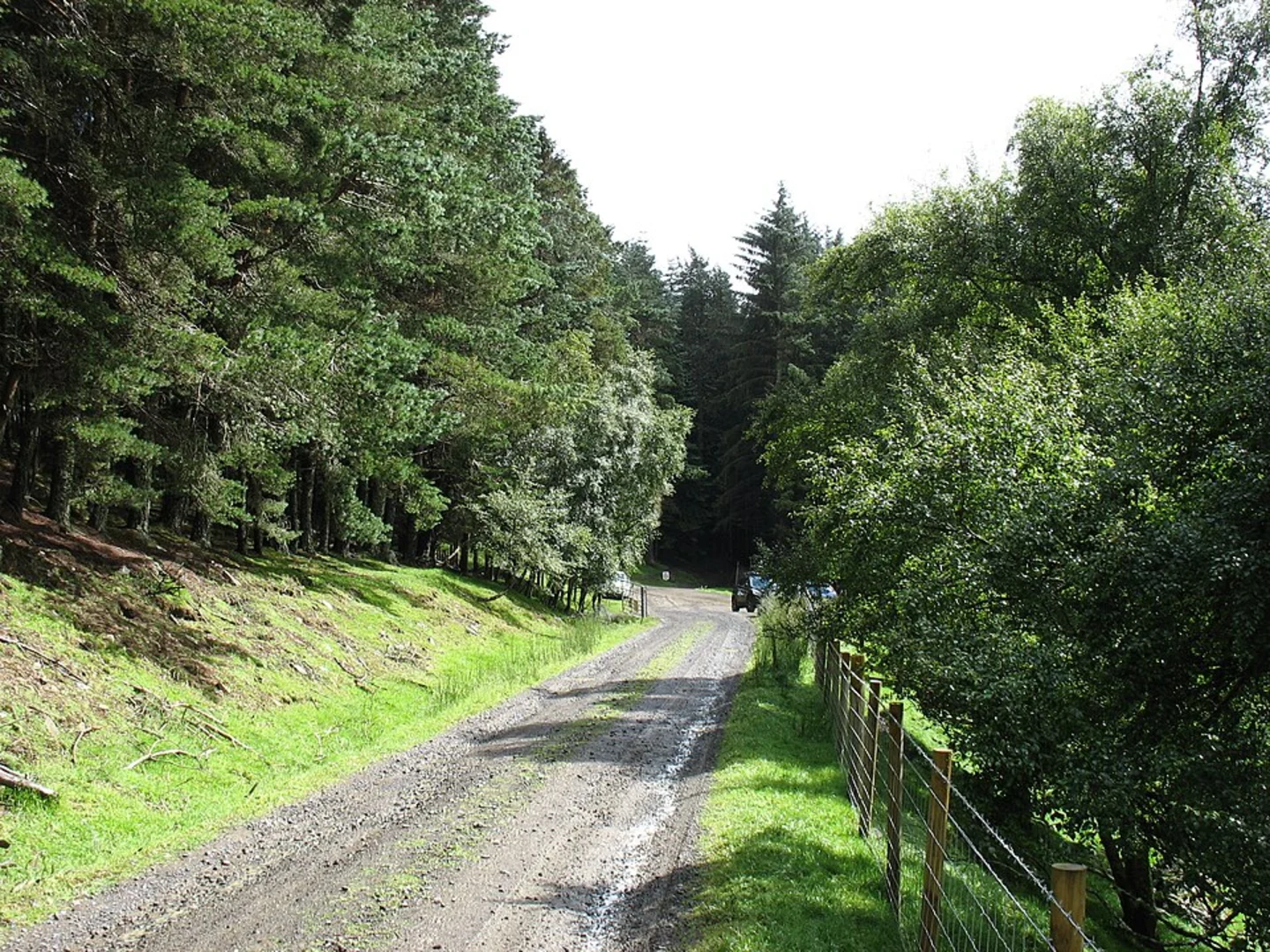 An image depicting the trail Glen Clova Path - Trout Loch Path and its surrounding area.