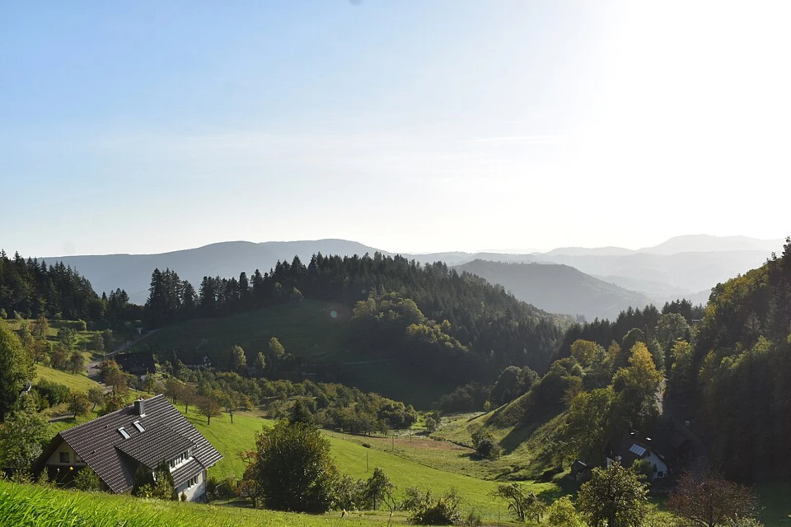 An image depicting the trail Schienberg, Kahler Berg and Galgenrain via Premiumwanderweg and its surrounding area.