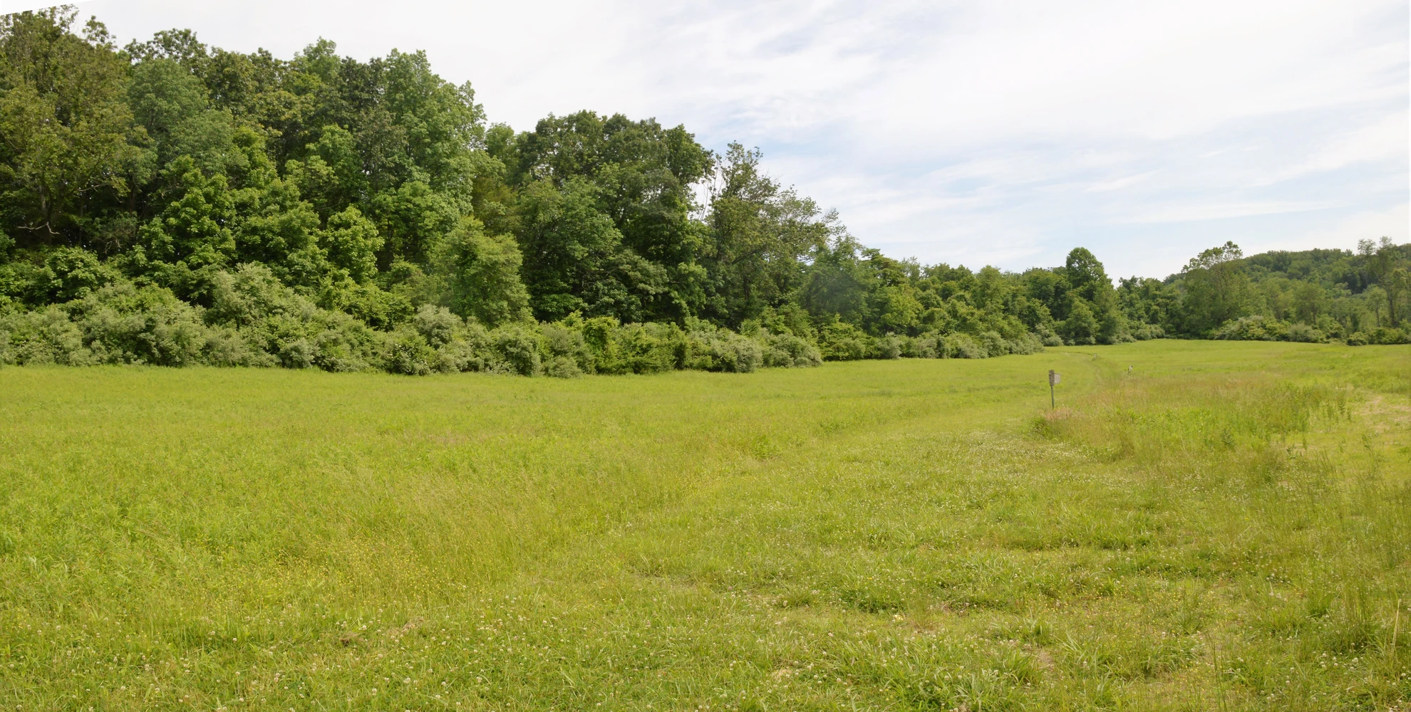 An image depicting the trail Rocky Run via Darlington Trail and its surrounding area.