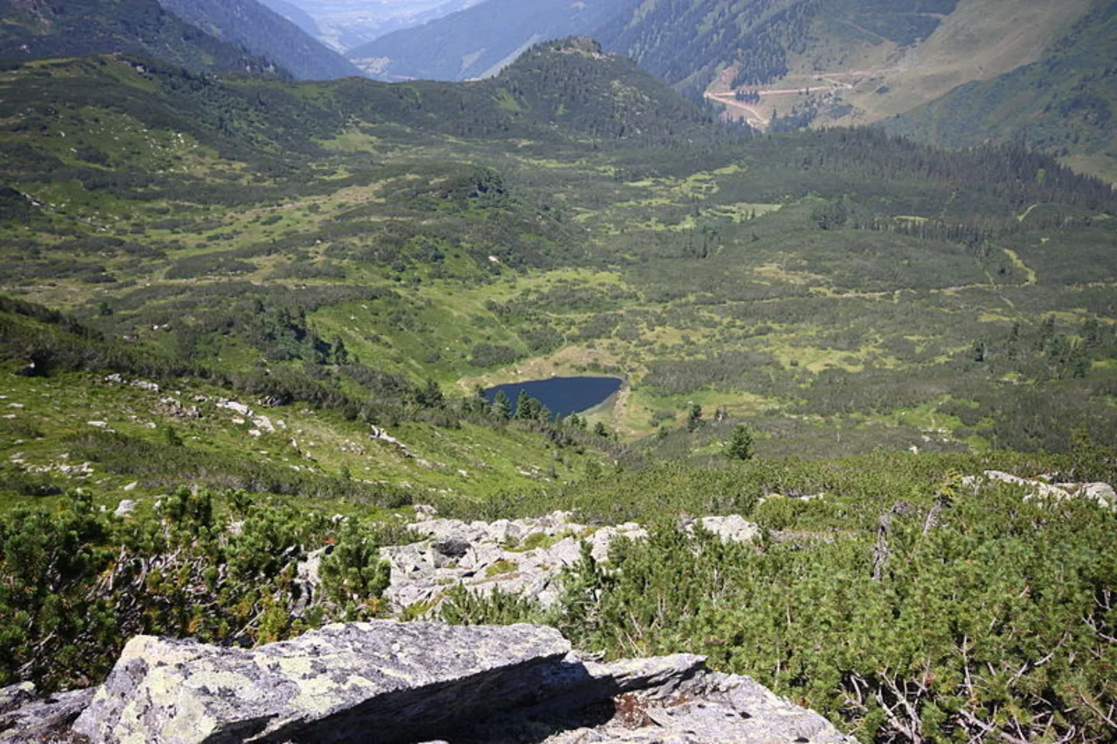 An image depicting the trail Kothüttenseeweg and its surrounding area.