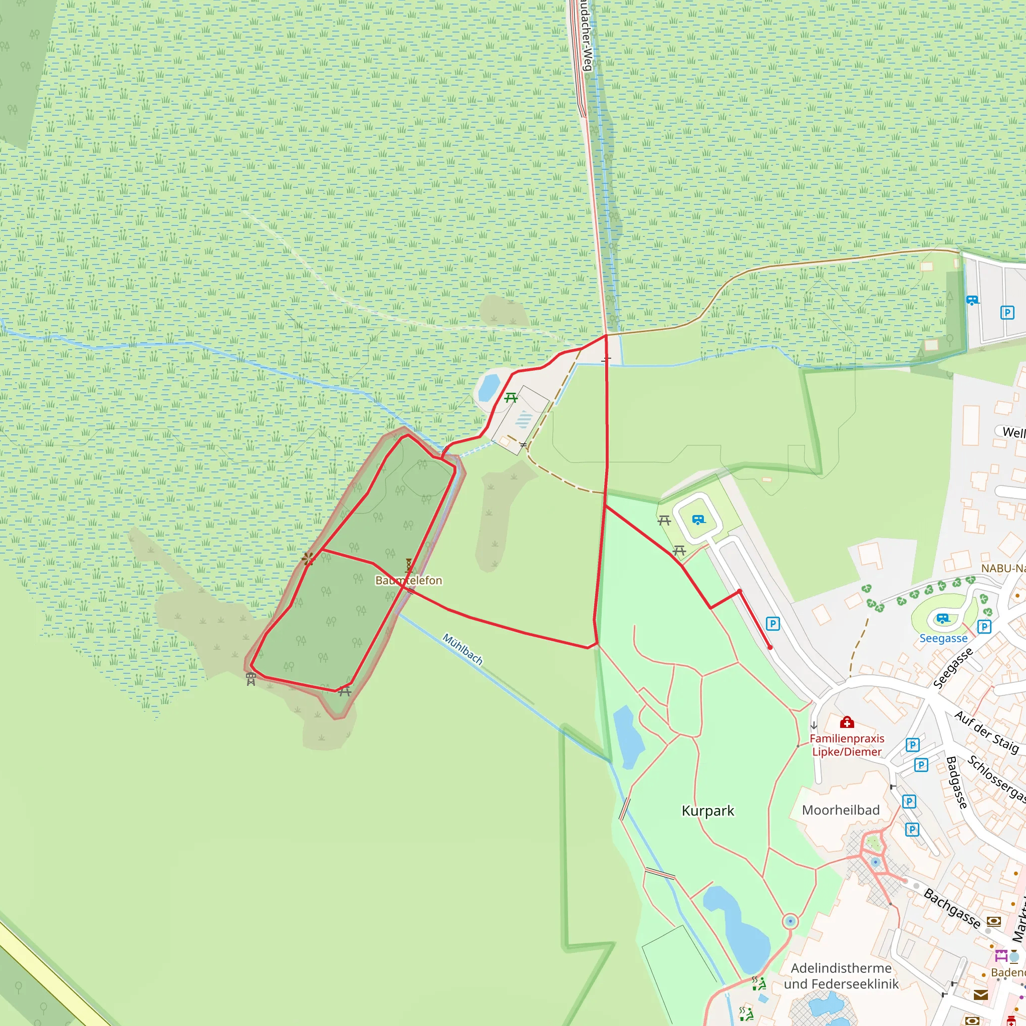 Naturerlebnispfad im Wackelwald Loop mobile static map