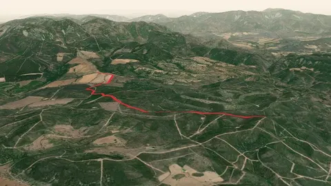 Ruta del Robledal - Alcornocal