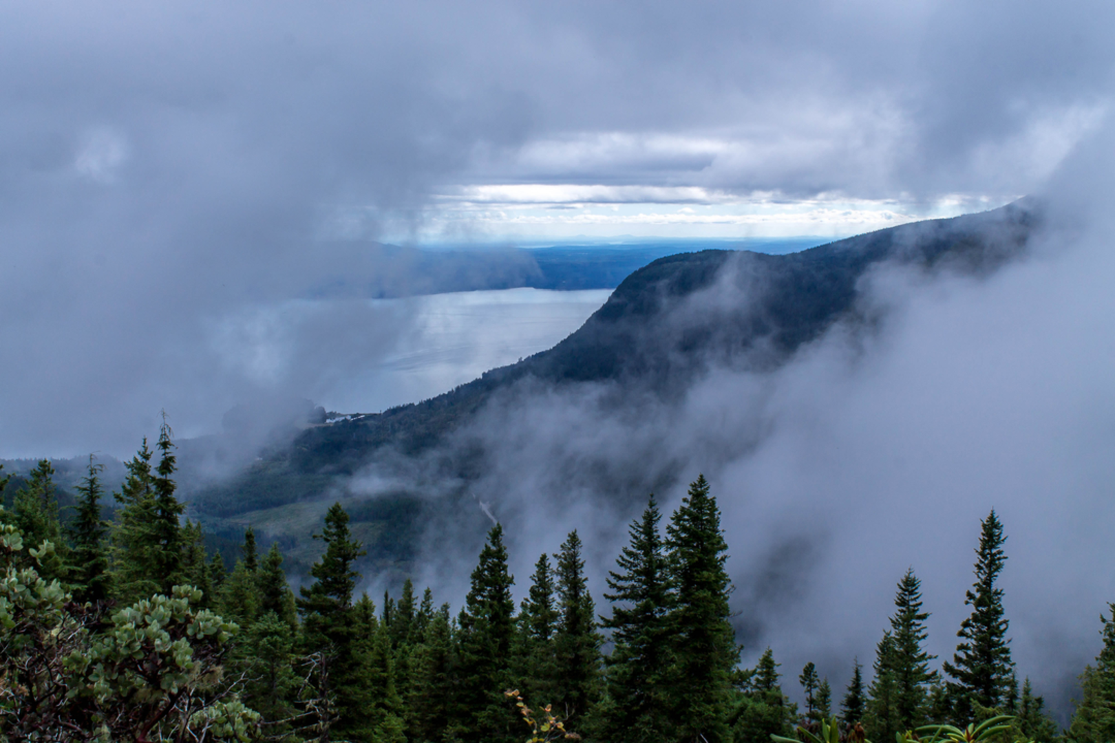 An image depicting the trail Mt Walker Trail and its surrounding area.