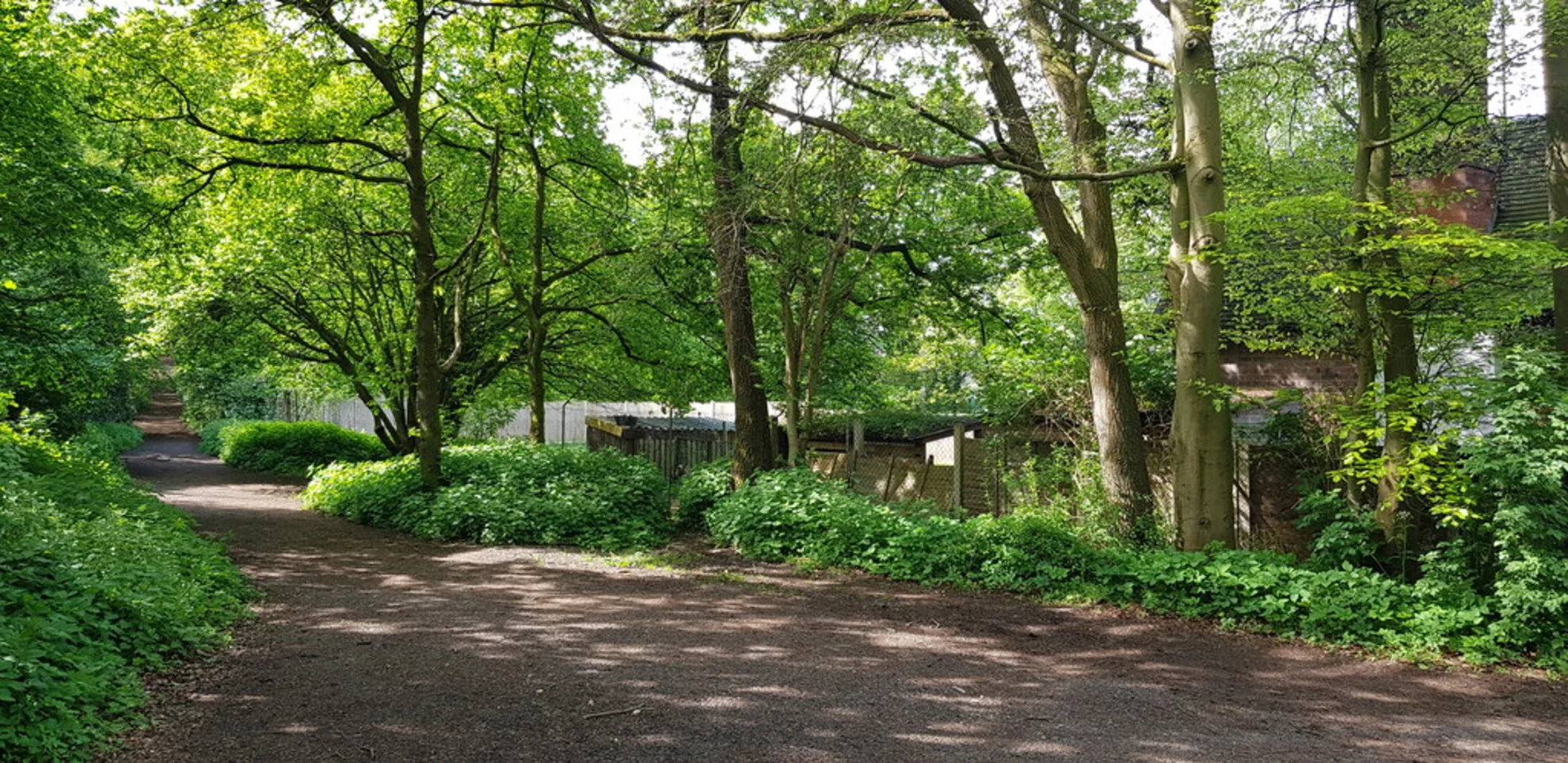 An image depicting the trail Rhydd Covert and Burlish Top Nature Reserve and its surrounding area.