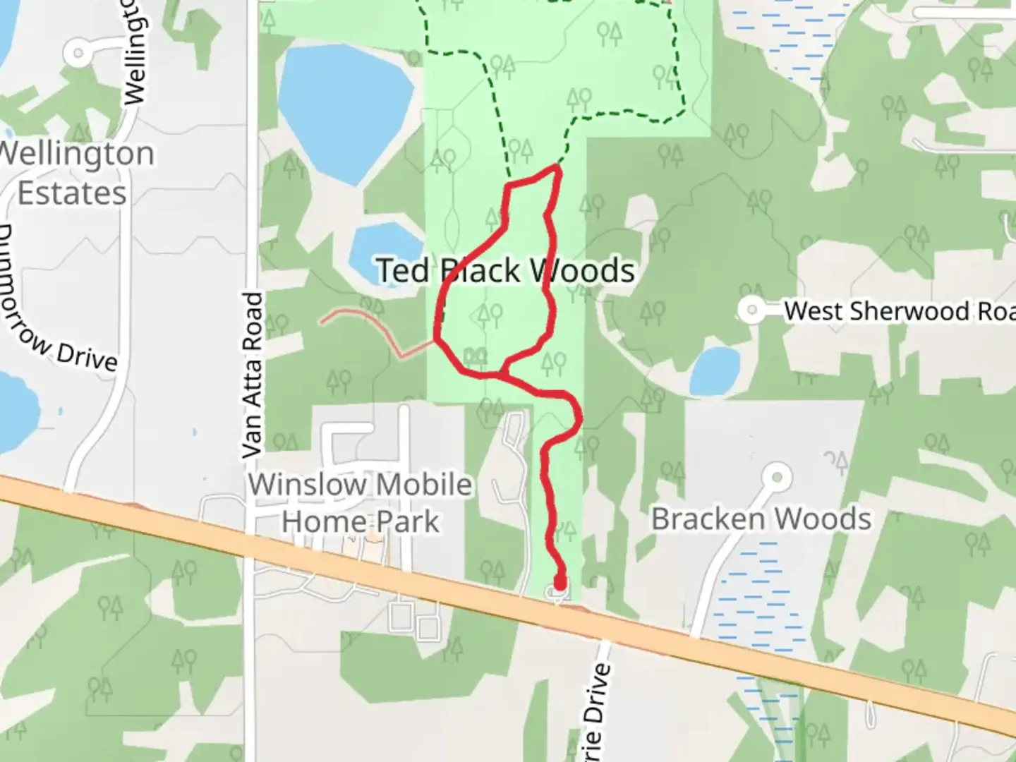 An image depicting the trail Ted Black Woods Loop and its surrounding area.