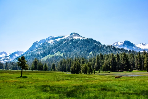 An image depicting the trail Wildrose Trail and its surrounding area.