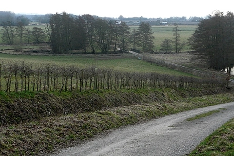 An image depicting the trail Hyde End Circular Walk and its surrounding area.