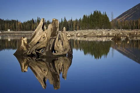An image depicting the trail American Ridge Trail and its surrounding area.