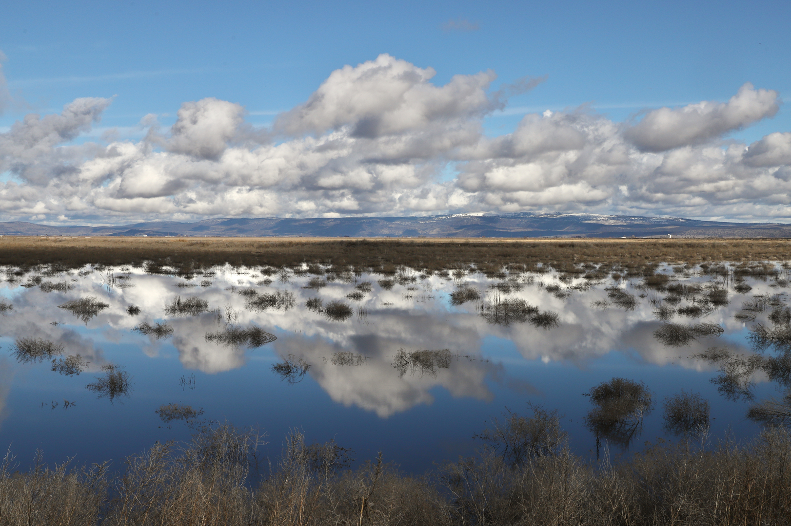 An image depicting the trail Tule Lake via Warm Creek Trail and its surrounding area.