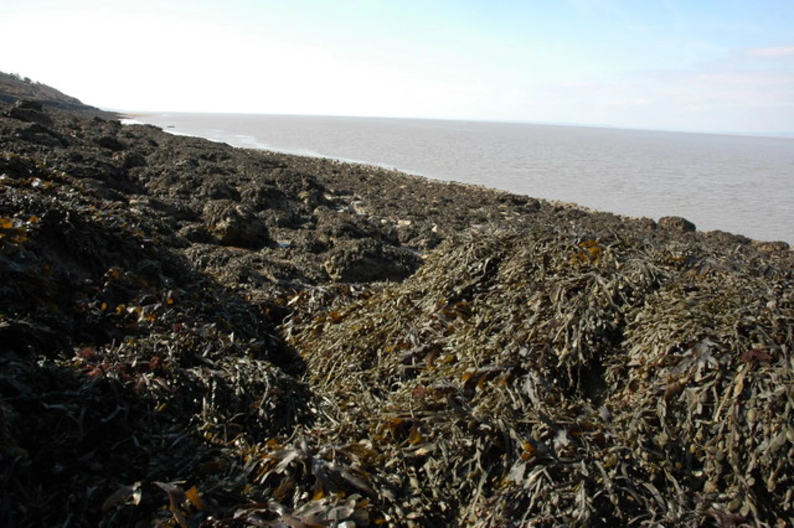 An image depicting the trail Castle Hill and Walton in Gordano Country Park and its surrounding area.
